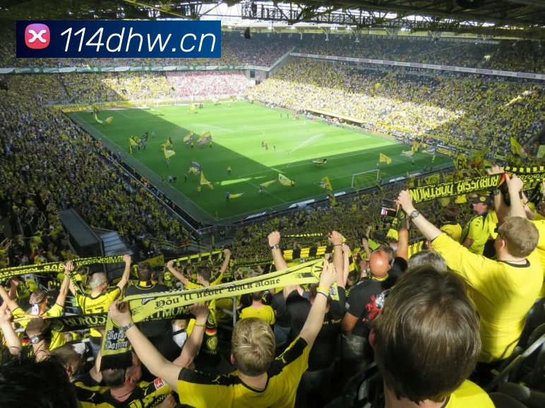 爱游戏ayx官方登录入口APP 体育赛事宣传图